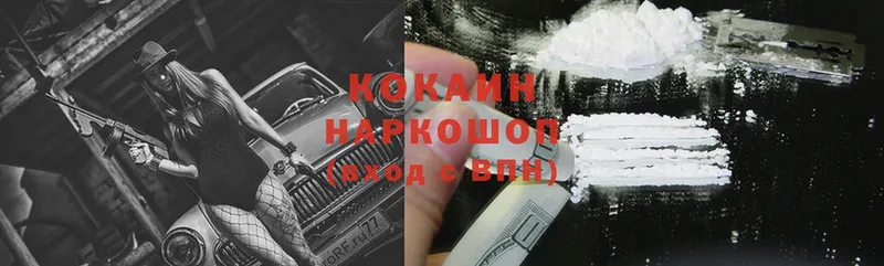 KRAKEN вход  Полярный  Cocaine FishScale 